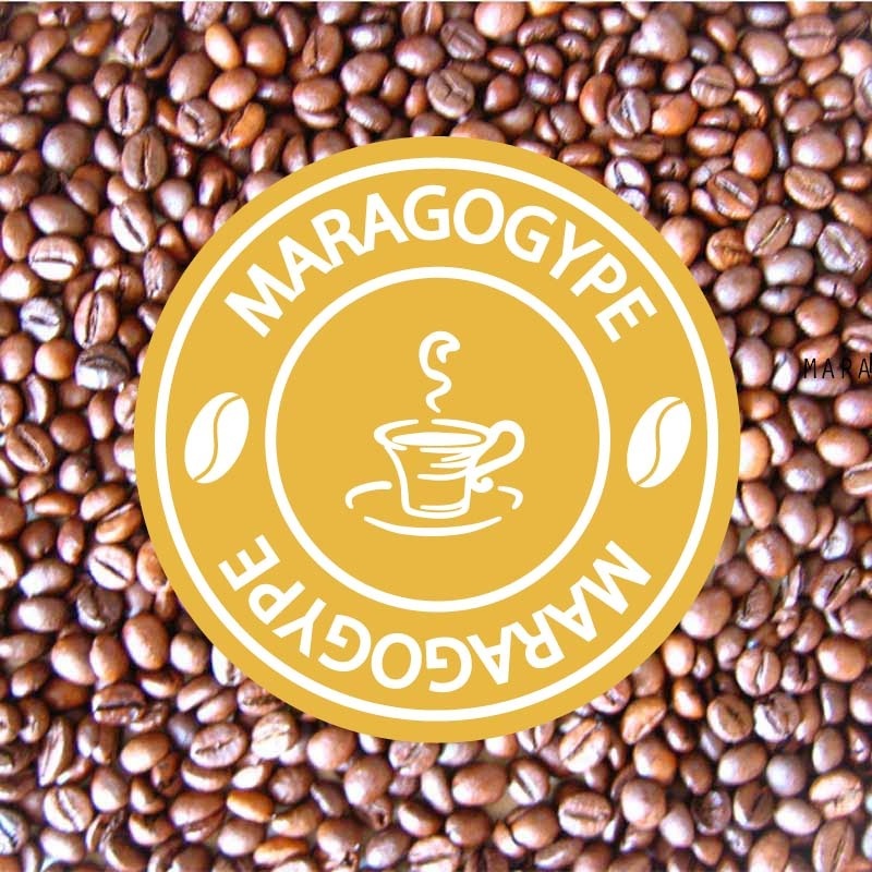café maragogype grains 1kg