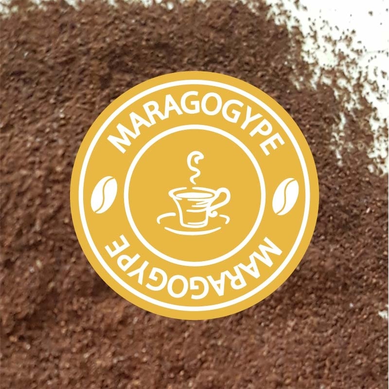 cafe moulu rare maragogype