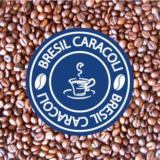 cafe en grains pure origine brésil caracoli