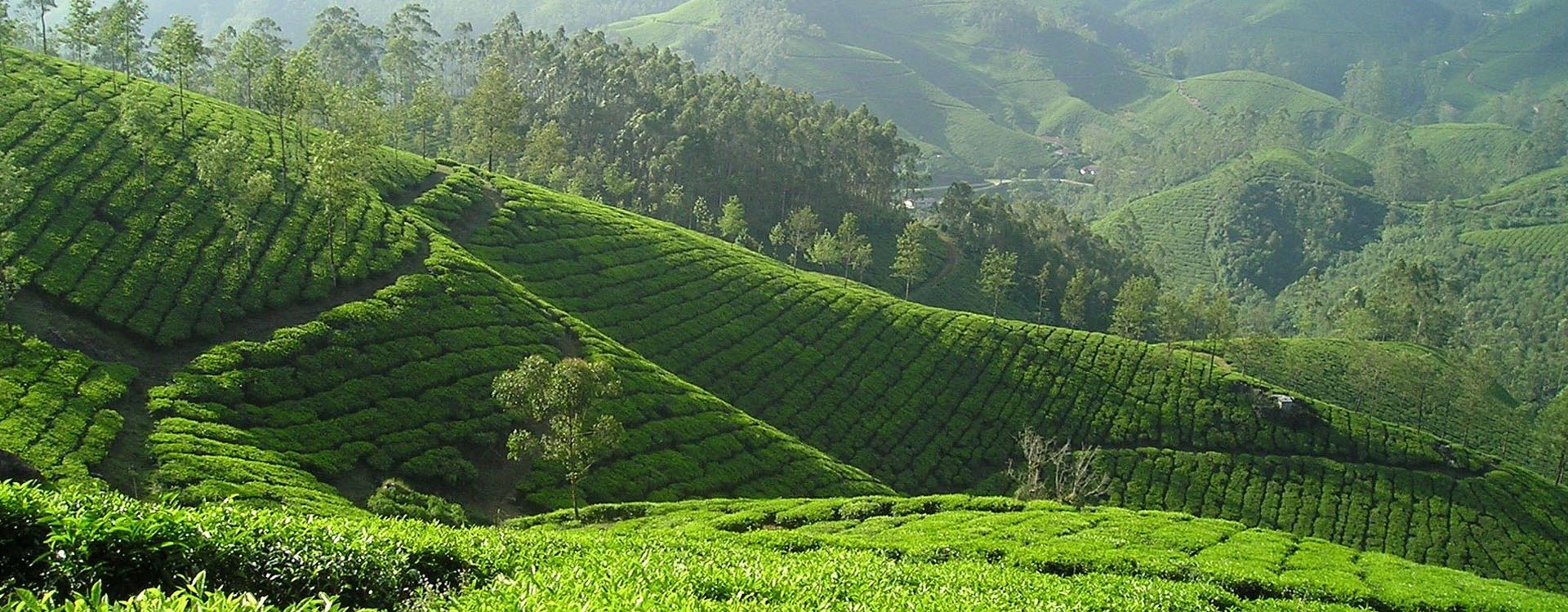 the en inde